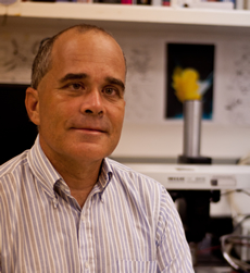 Paul D. Smolen, Ph.D.