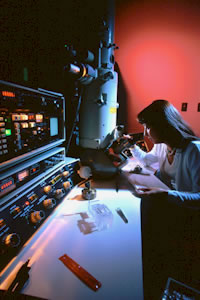 Electron Microscope