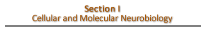 Section 1
