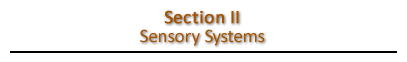Section 1