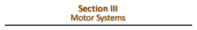 Section 1