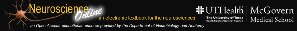 Neuroscience Online Logo Image