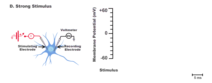 Norm of E k (left) and e k (right) for the heat equation with