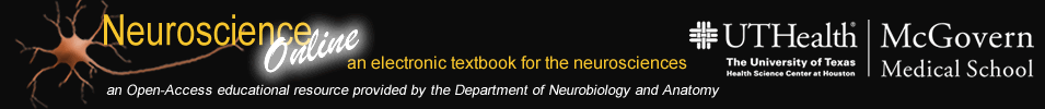 NSO Header Image