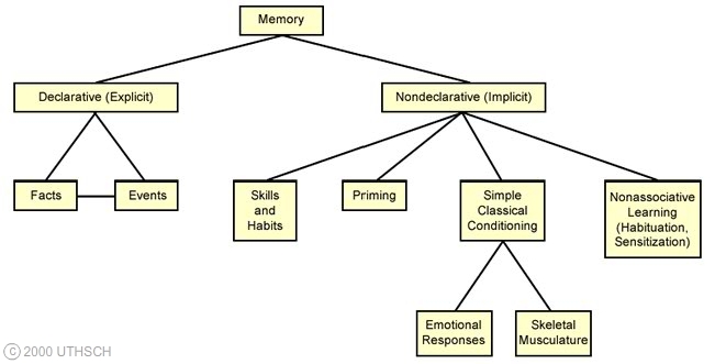 declarative memory examples