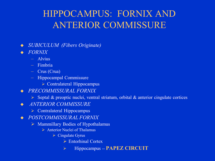 hippocampus: fornix and anterior commissure