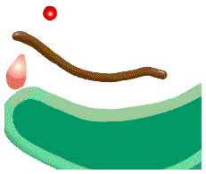 Transport and the Molecular Mechanism of Secretion (Section 1; Chapter