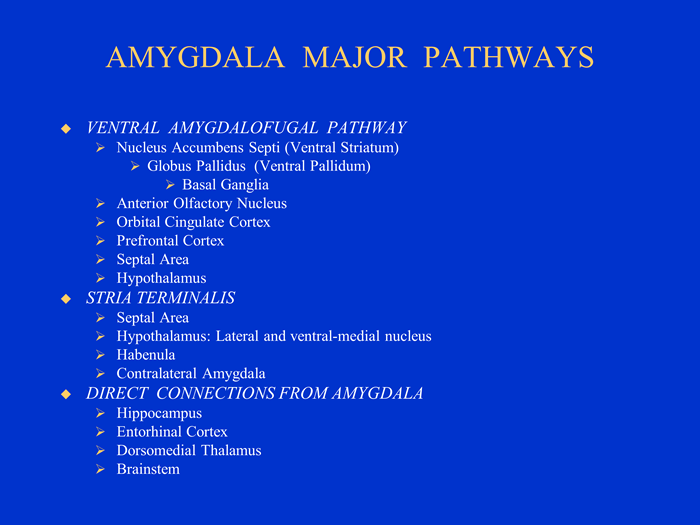 amygdala major pathways