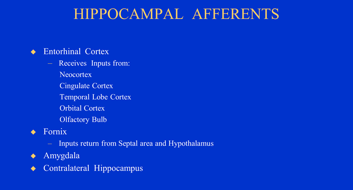 hippocampal afferents